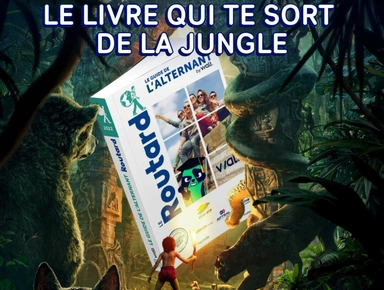 Alternance : le guide qui te sort de la jungle de l’orientation