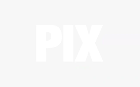 Logo association Pix